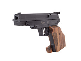 V10 Target Pistol V10 TARGET PISTOL